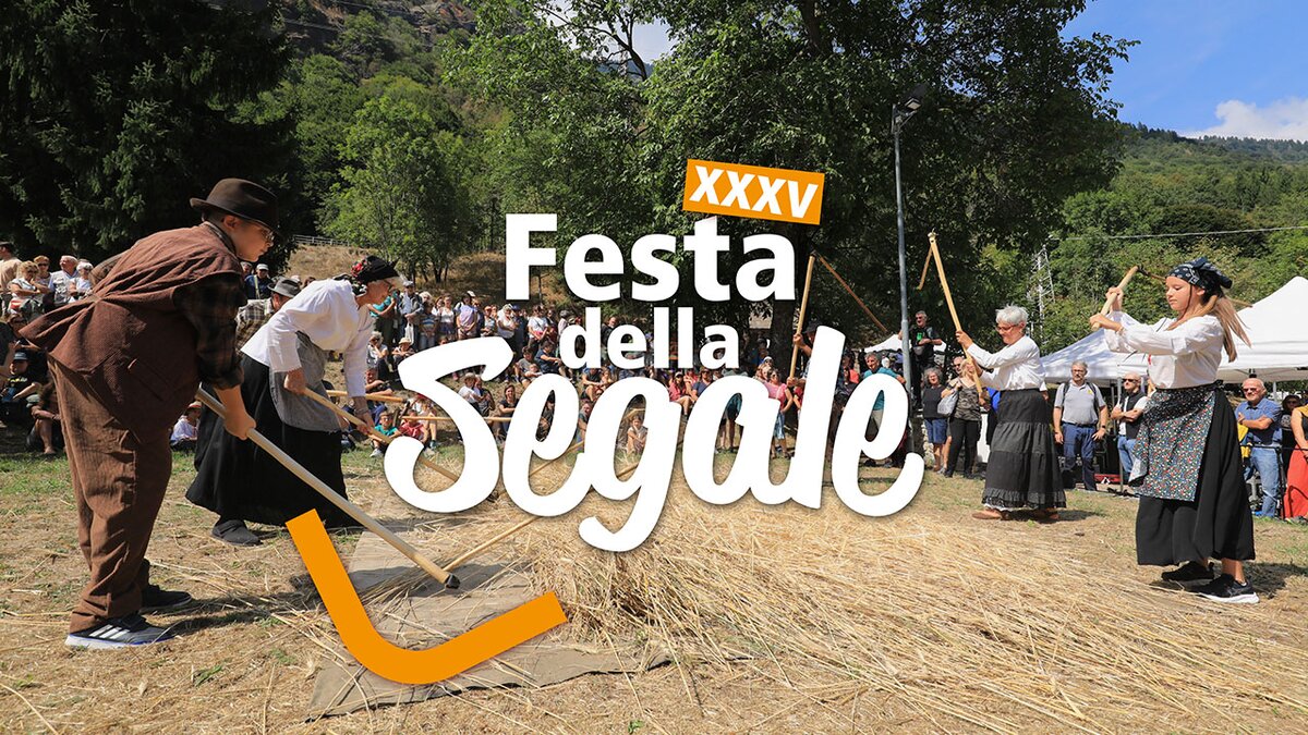 La battitura della segale con le cavaglie durante l'edizione 2025 della Festa della Segale. Fotografia di Giorgio Bernardi, Archivio APAM. Fine descrizione della fotografia.